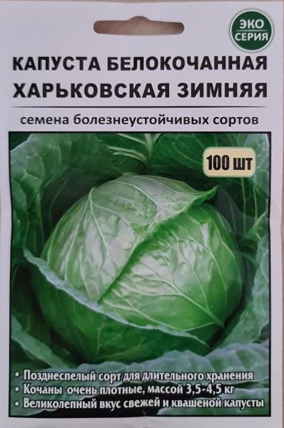 Капуста харьковская зимняя описание сорта фото отзывы Капуста капуста белокачанная харьковская зимняя - купить по выгодным ценам в инт