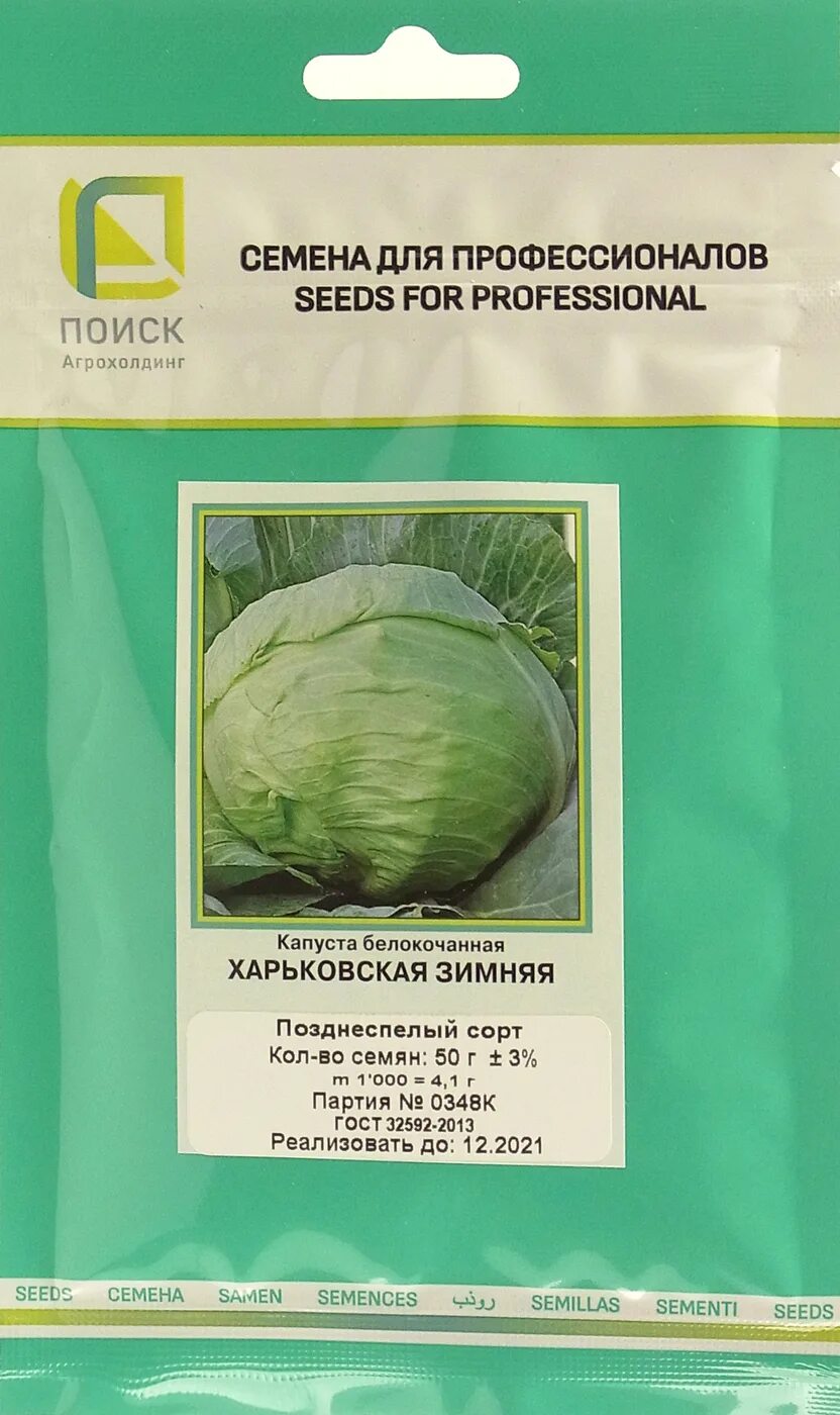 Капуста харьковская зимняя описание сорта фото отзывы Капуста Харьковская зимняя: характеристика и описание позднеспелого сорта с фото