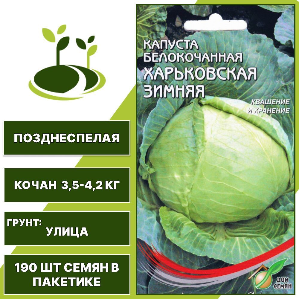 Капуста харьковская зимняя описание сорта фото отзывы Капуста Дом Семян Харьковская Зимняя_1 - купить по выгодным ценам в интернет-маг