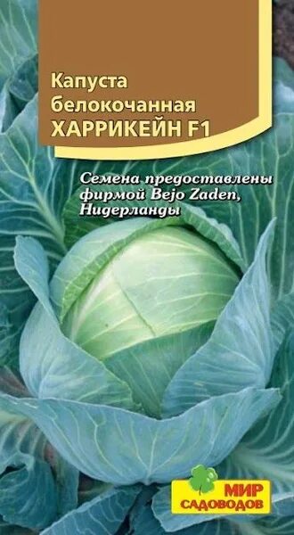 Капуста харрикейн описание сорта фото отзывы Капуста Мир Садоводов Капуста белокочанная "Харрикейн F1"10 - купить по выгодным