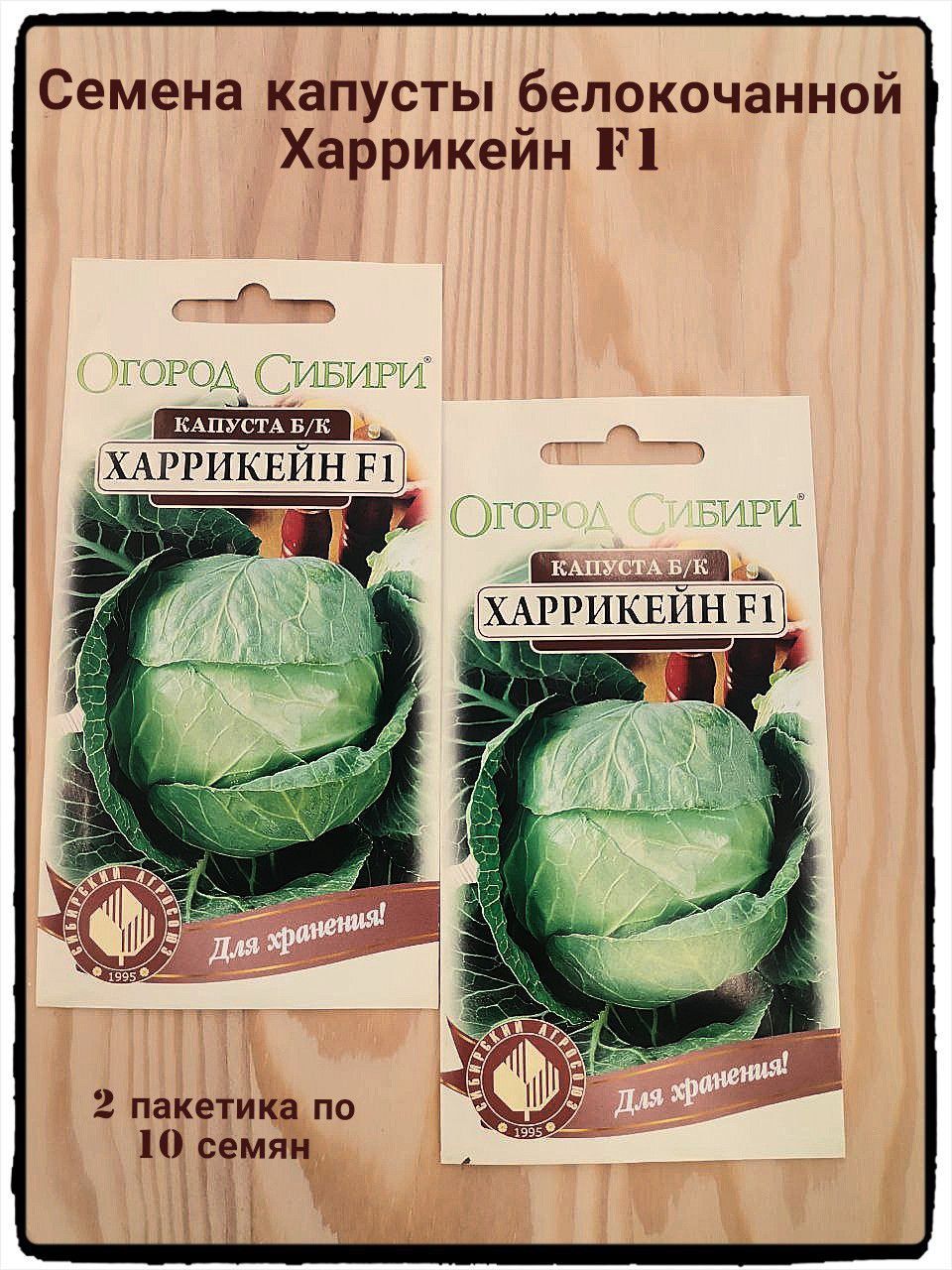 Капуста харрикейн описание сорта фото отзывы Капуста Капуста - купить по выгодным ценам в интернет-магазине OZON