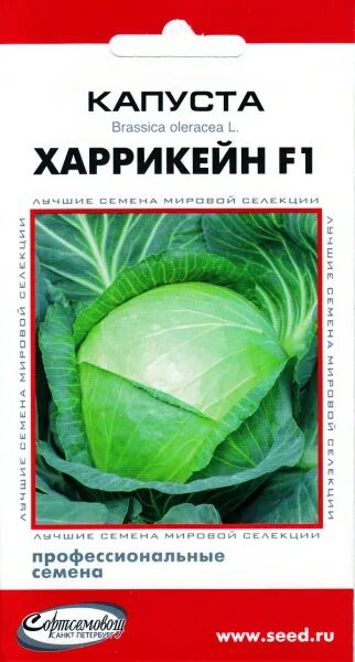 Капуста харрикейн описание сорта фото отзывы Капуста, Разнообразные овощи Дом Семян Капуста белокочанная Харрикейн F1 - купит