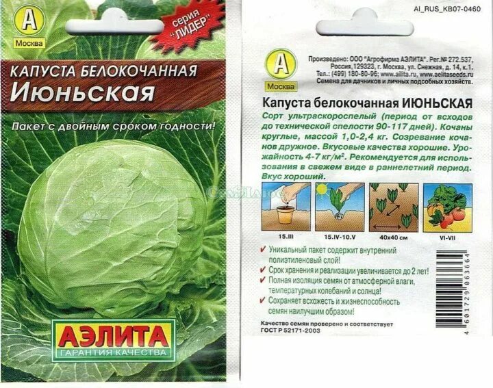 Капуста июньская описание сорта фото Капуста. Рассада - купить в Кирове, цена 70 руб., продано 2 июня 2019 - Растения