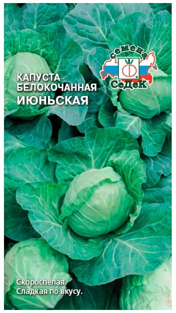Капуста июньская описание сорта фото Семена. капуста белокочанная "июньская", ранняя (вес: 25 г) гавриш - купить по н
