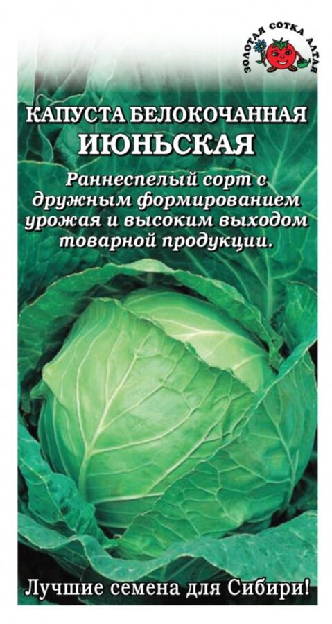 Капуста июньская описание сорта фото Капуста б/к Июньская ЦВ/П (Сотка) 0,5гр раннеспелый Семена томат, огурец. Семена