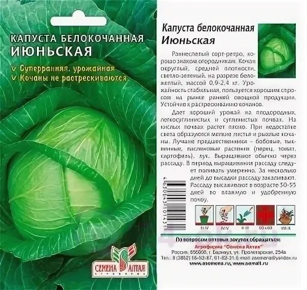Капуста июньская описание сорта фото Капуста Июньская (Сем.Алтая) 0,5г / 24-OK.RU - Клуб уСПешных приобретений
