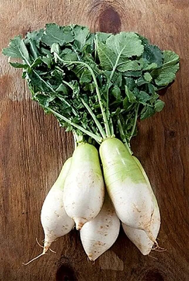 Капуста как редька фото Amazon.com: daikon radish seeds