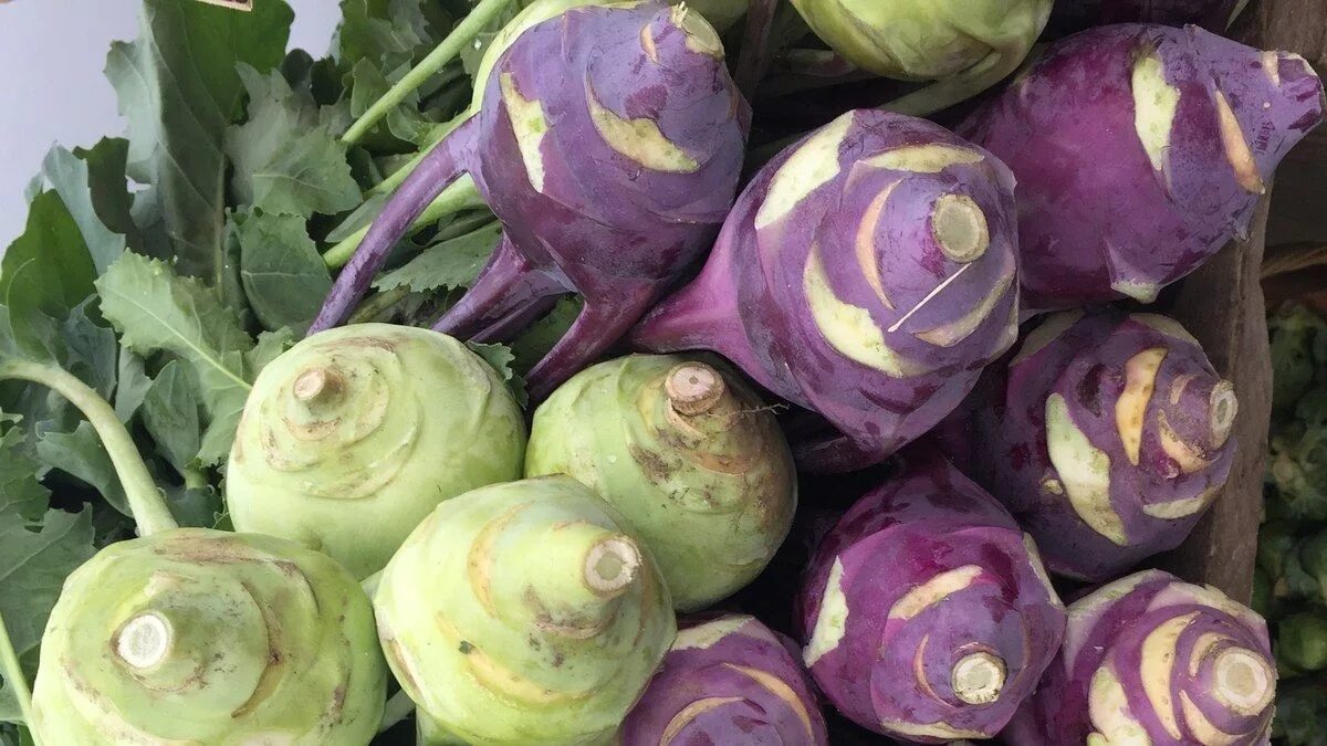 Капуста как редька как называется фото Discover the Versatility of Kohlrabi