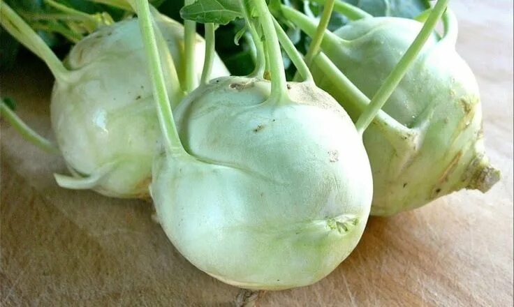 Капуста как редька как называется фото Rapa bianca: Proprietà, benefici e come usarla in cucina Vivipuro.it Peperoni, R