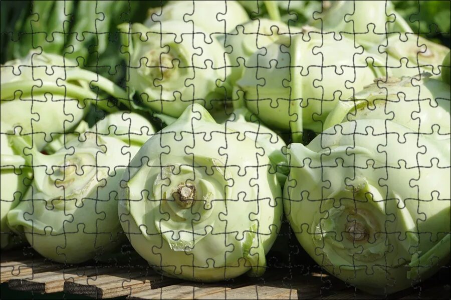 Капуста как репа как называется фото Магнитный пазл 27x18см."Кольраби, овощи, brassica oleracea var" на холодильник -