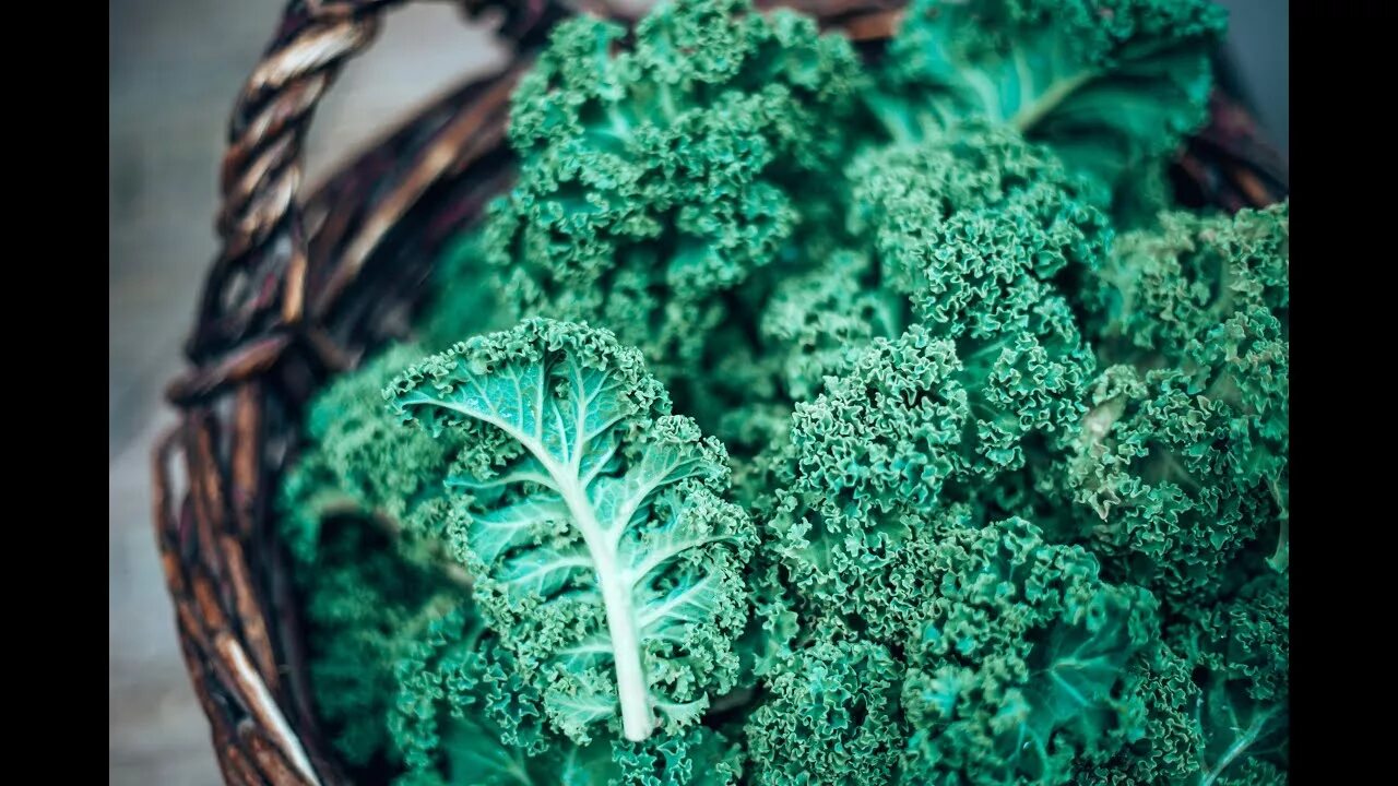 Капуста кале фото Salata / Varza Kale - YouTube