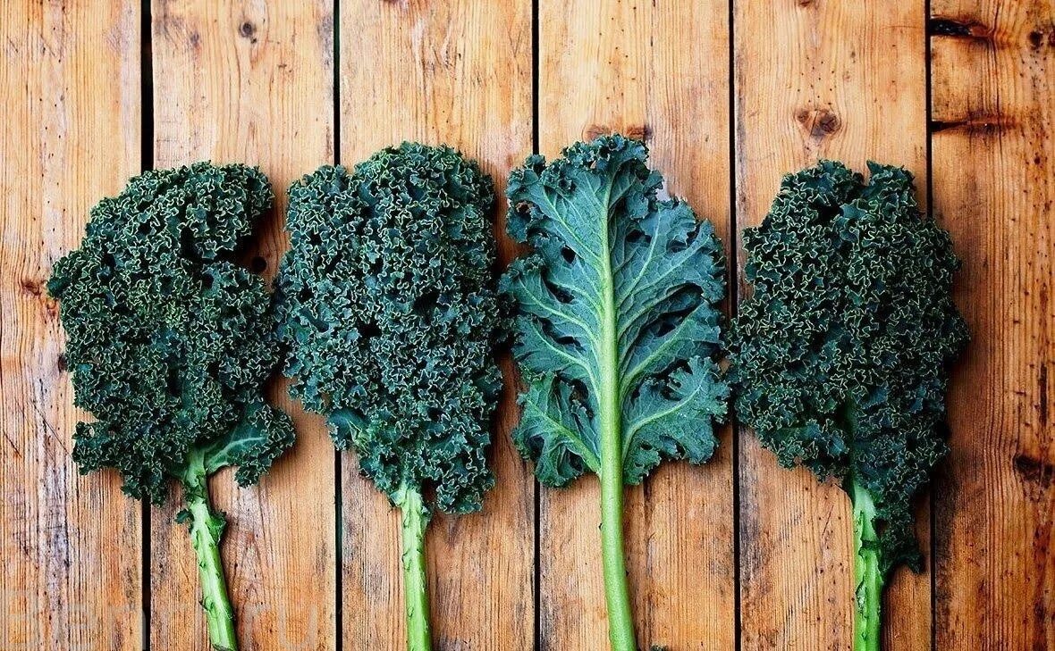 Капуста кале фото польза Аодзиру из капусты кале, Kyushu GreenFarm 100% Kyushu Kale, Shinnippaiyakuhin, 5