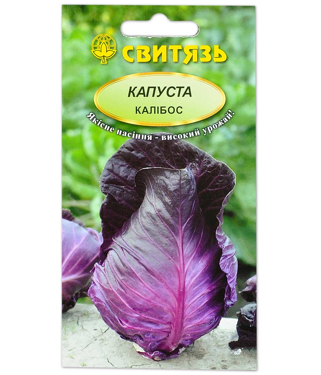 Капуста калибос описание сорта фото отзывы Капуста краснокачанная Калибос 0.3г Семена капусты Фиалка.net