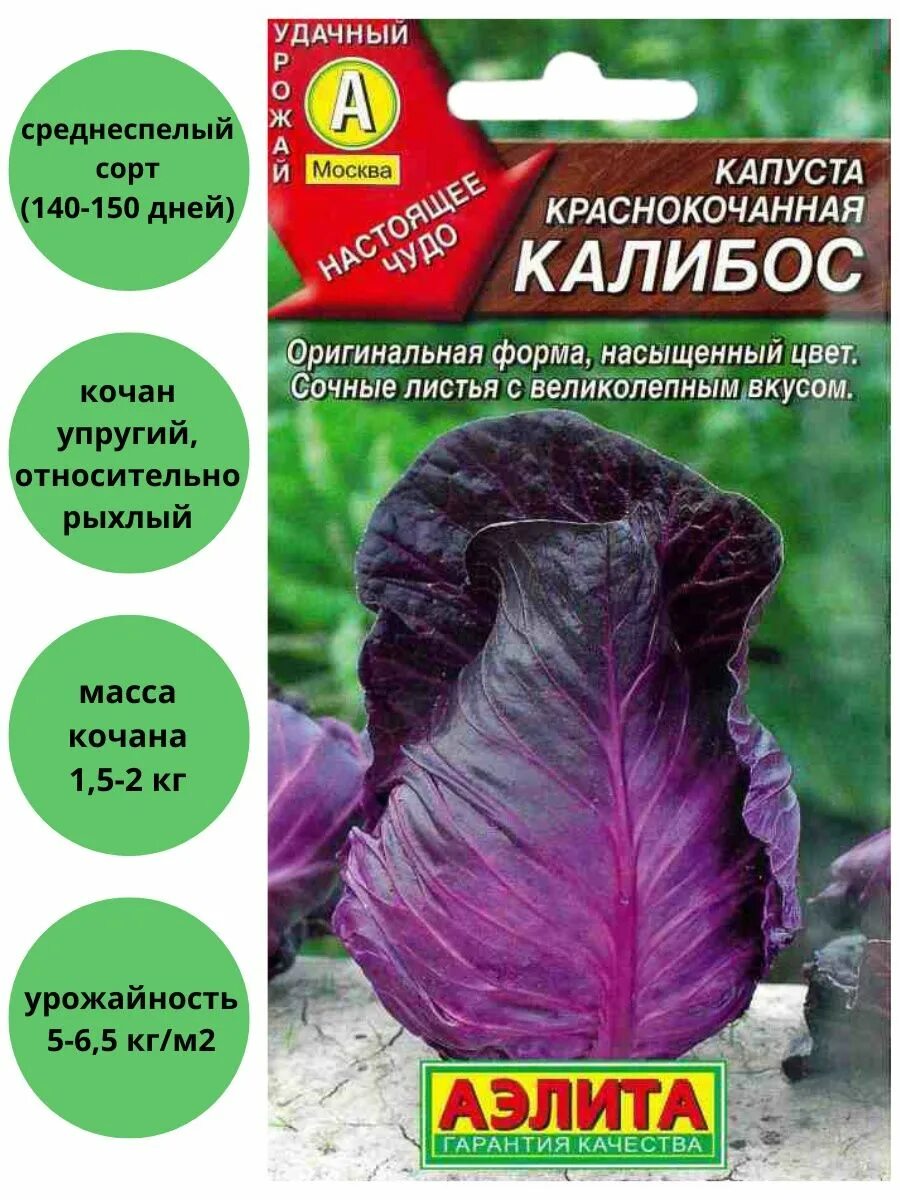 Капуста калибос описание сорта фото отзывы Капуста Калибос краснокочанная Агрофирма Аэлита 63197891 купить за 105 ₽ в интер