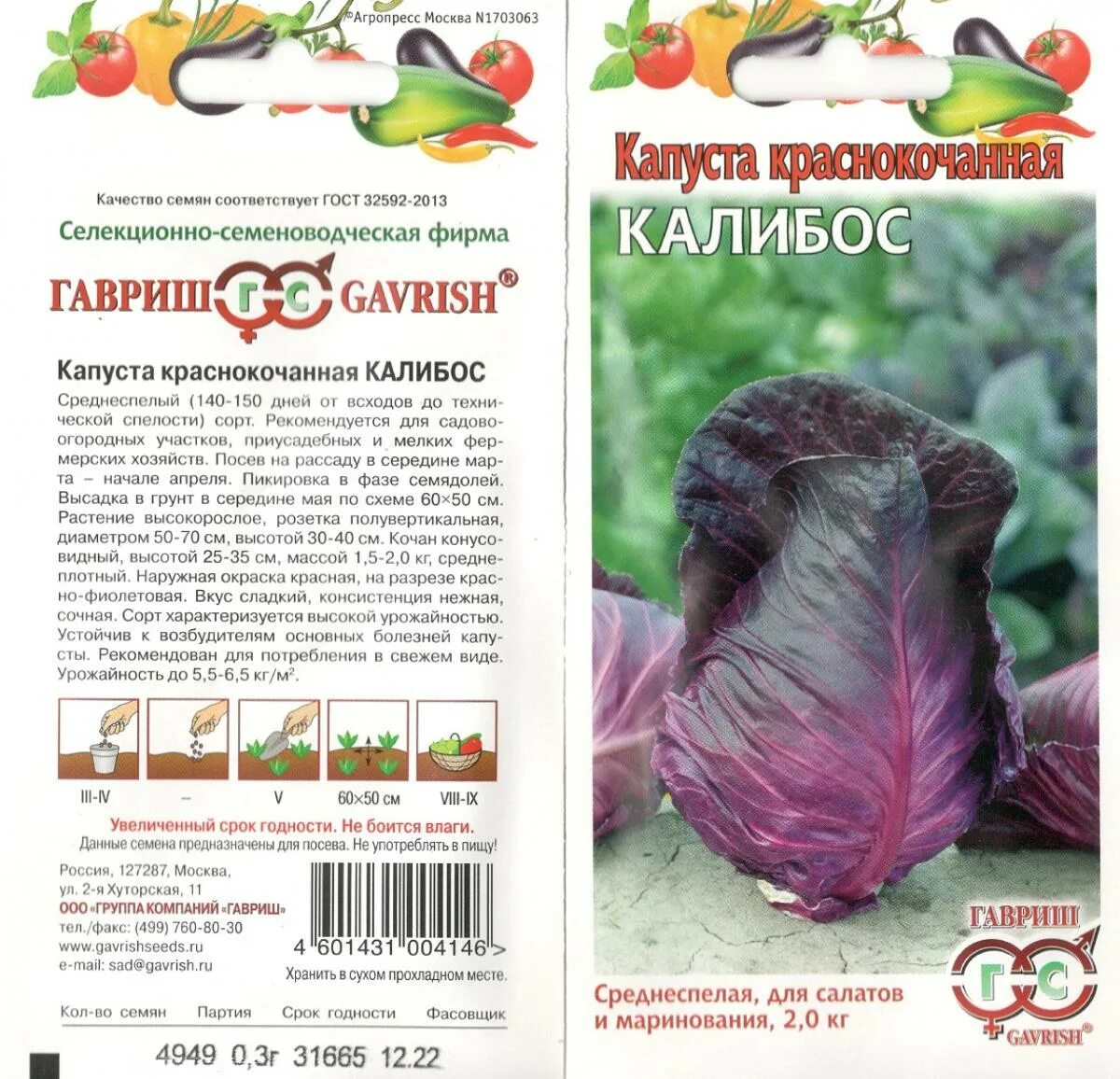 Капуста калибос описание сорта фото отзывы Капуста калибос фото Molot-Club.ru