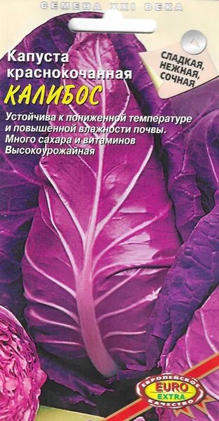 Капуста калибос описание сорта фото отзывы Капуста Агрофирма Аэлита Капуста краснокачанная Калибос - купить по выгодным цен