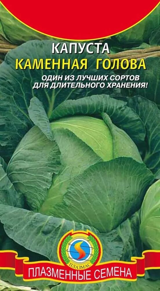 Капуста каменна глова описание сорта фото отзывы Семена Капуста б/к Каменная голова : описание сорта, фото - купить с доставкой и