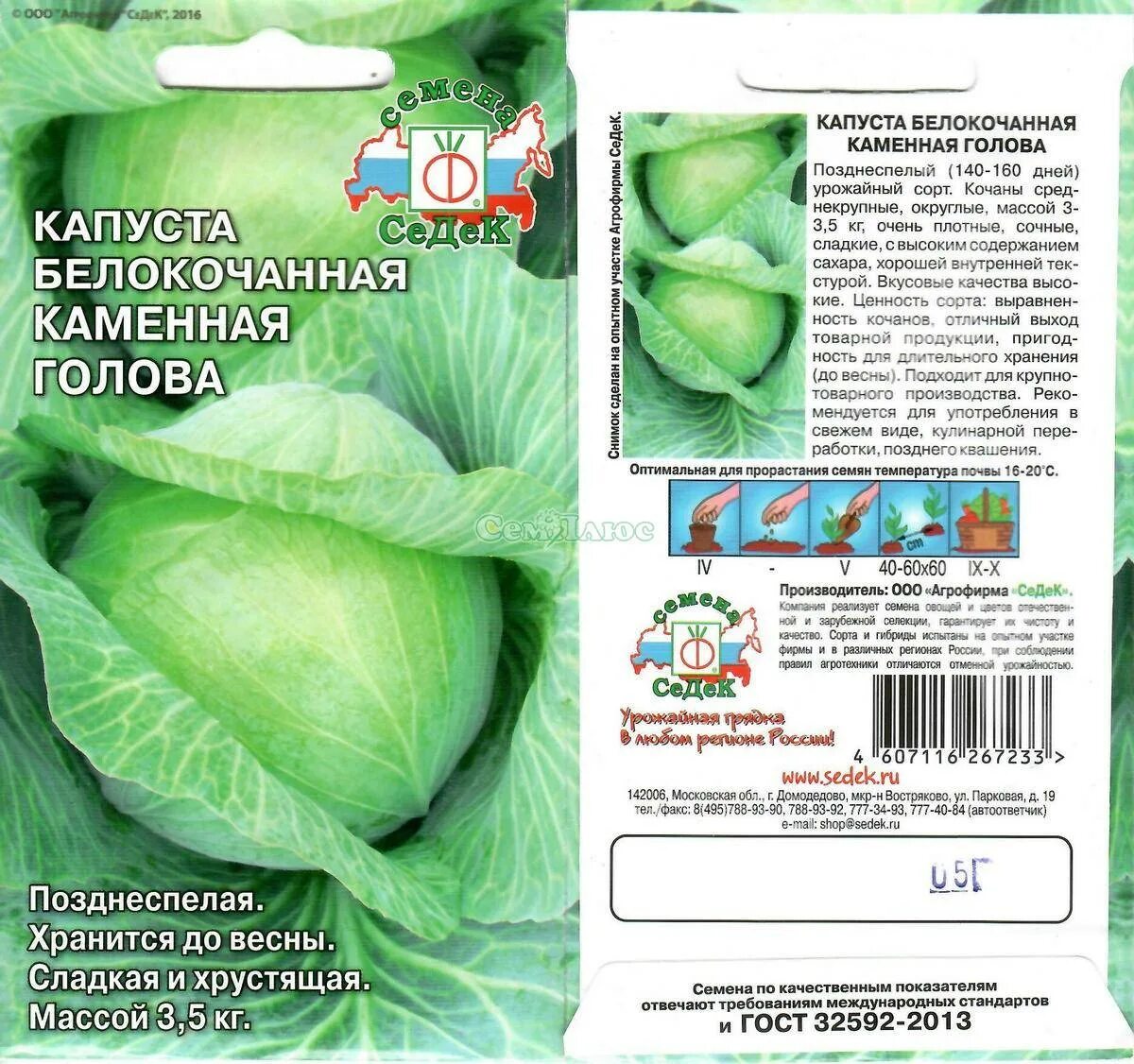 Капуста каменна глова описание сорта фото отзывы Капуста каменная голова описание сорта фото отзывы Фитостудия-63.ру