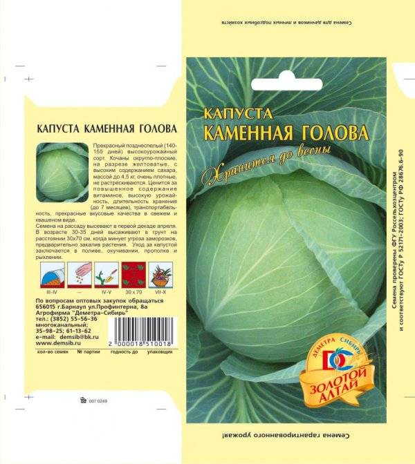 Капуста каменна глова описание сорта фото отзывы Капуста каменная голова описание сорта фото отзывы Фитостудия-63.ру