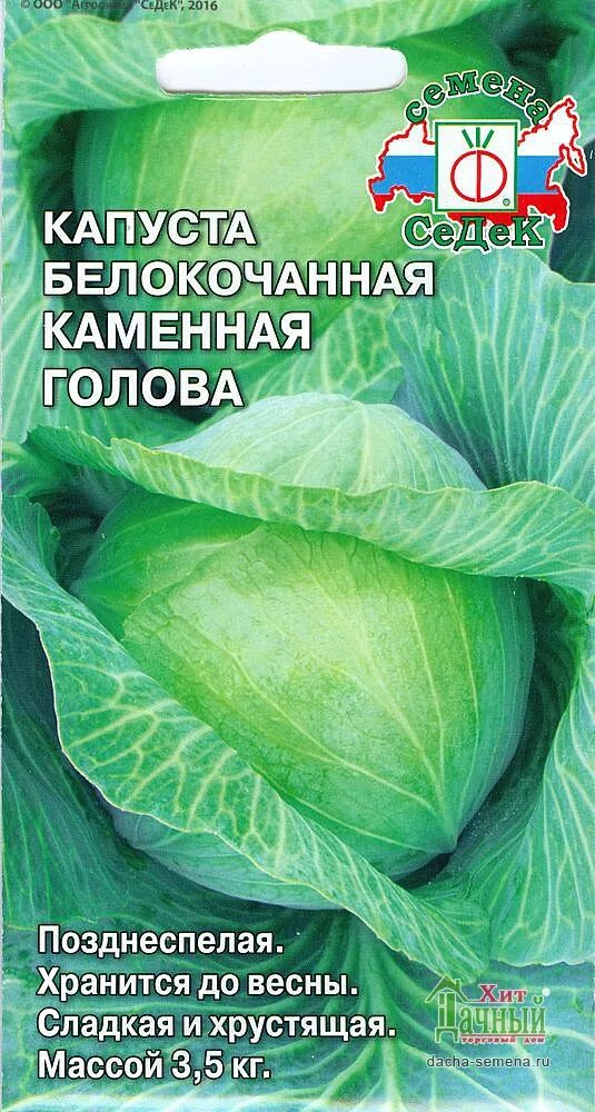 Капуста каменна глова описание сорта фото отзывы Купить Каменная голова по цене всего 20 руб