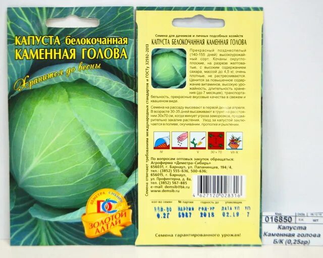Капуста каменна глова описание сорта фото отзывы Нисса каталог - Капуста Каменная голова белокочанная (0,2гр) ДемСиб *10