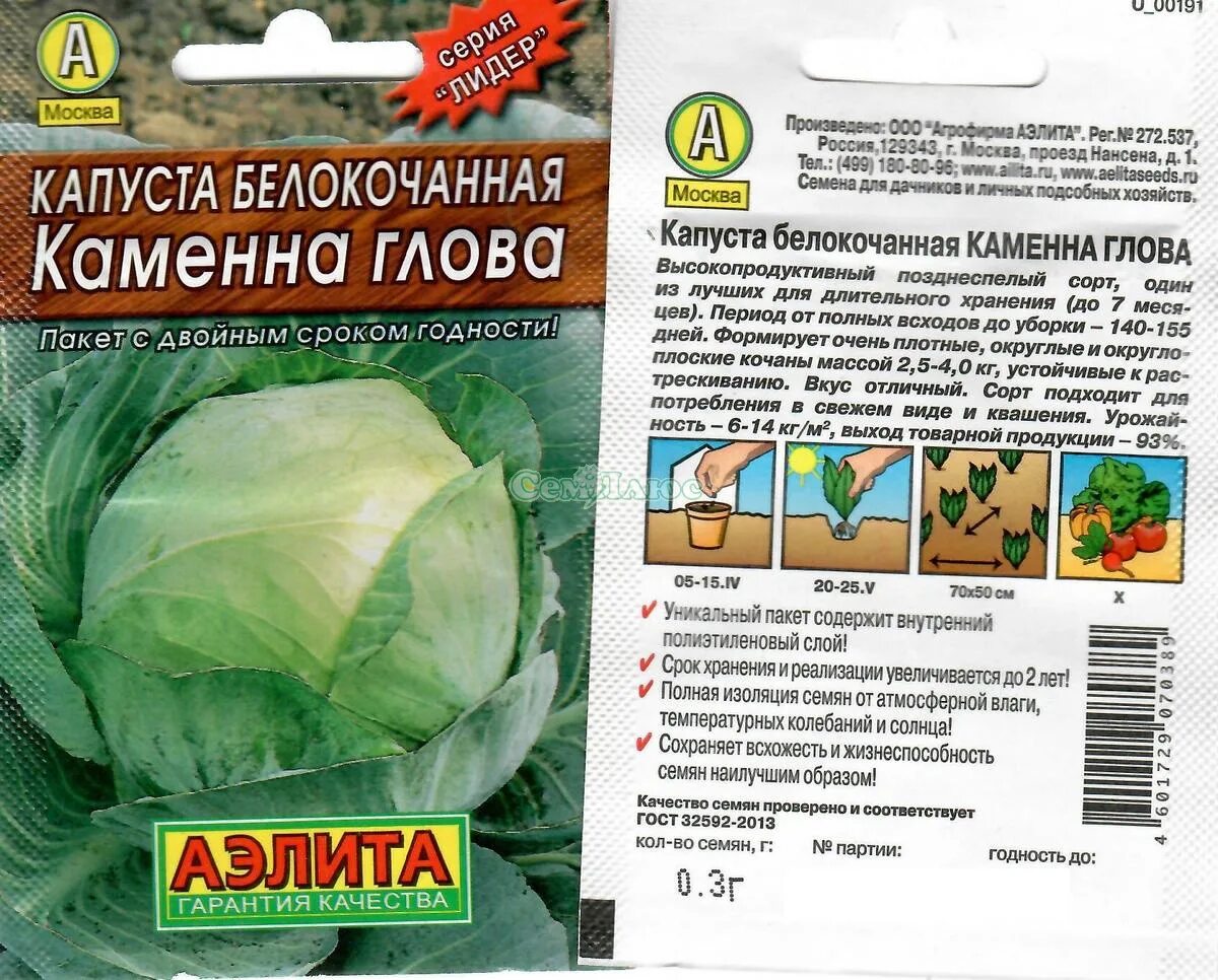 Капуста каменна глова описание сорта фото отзывы Капуста каменная голова описание сорта фото отзывы Фитостудия-63.ру