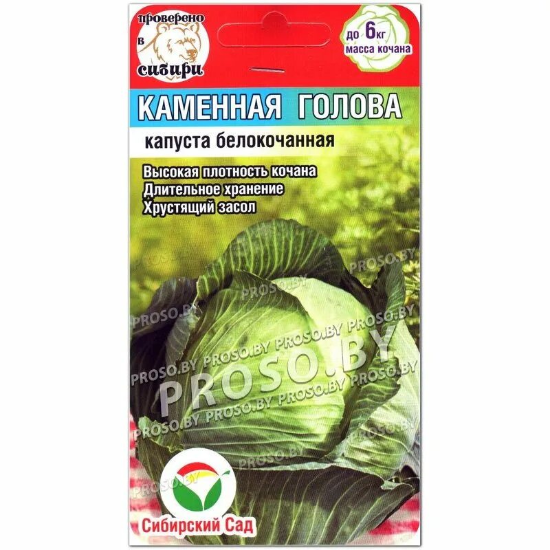 Капуста каменна глова описание сорта фото отзывы Купить семена Капуста белокочанная Каменная голова в Минске и почтой по Беларуси