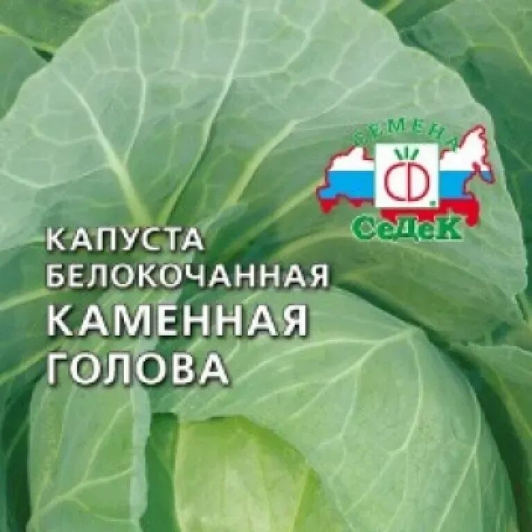 Капуста каменна глова описание сорта фото отзывы Капуста белокочанная Каменная голова - описание семян с фотографиями растения. О
