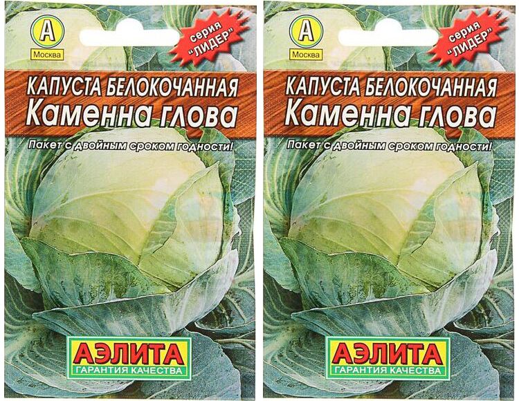 Капуста каменна глова описание сорта фото отзывы Капуста каменна