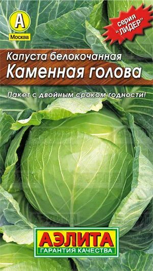 Капуста каменная голова описание сорта фото Капуста белокочанная Каменная голова 0,3г цв. Аэлита (лидер) купить в Уфе - мага