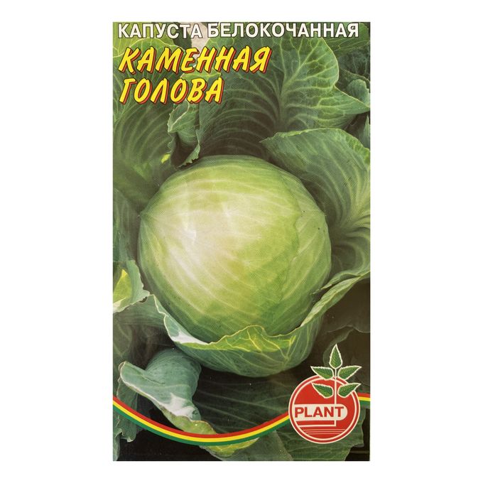 Капуста каменная голова описание сорта фото Каменная голова капуста LibraArt.ru