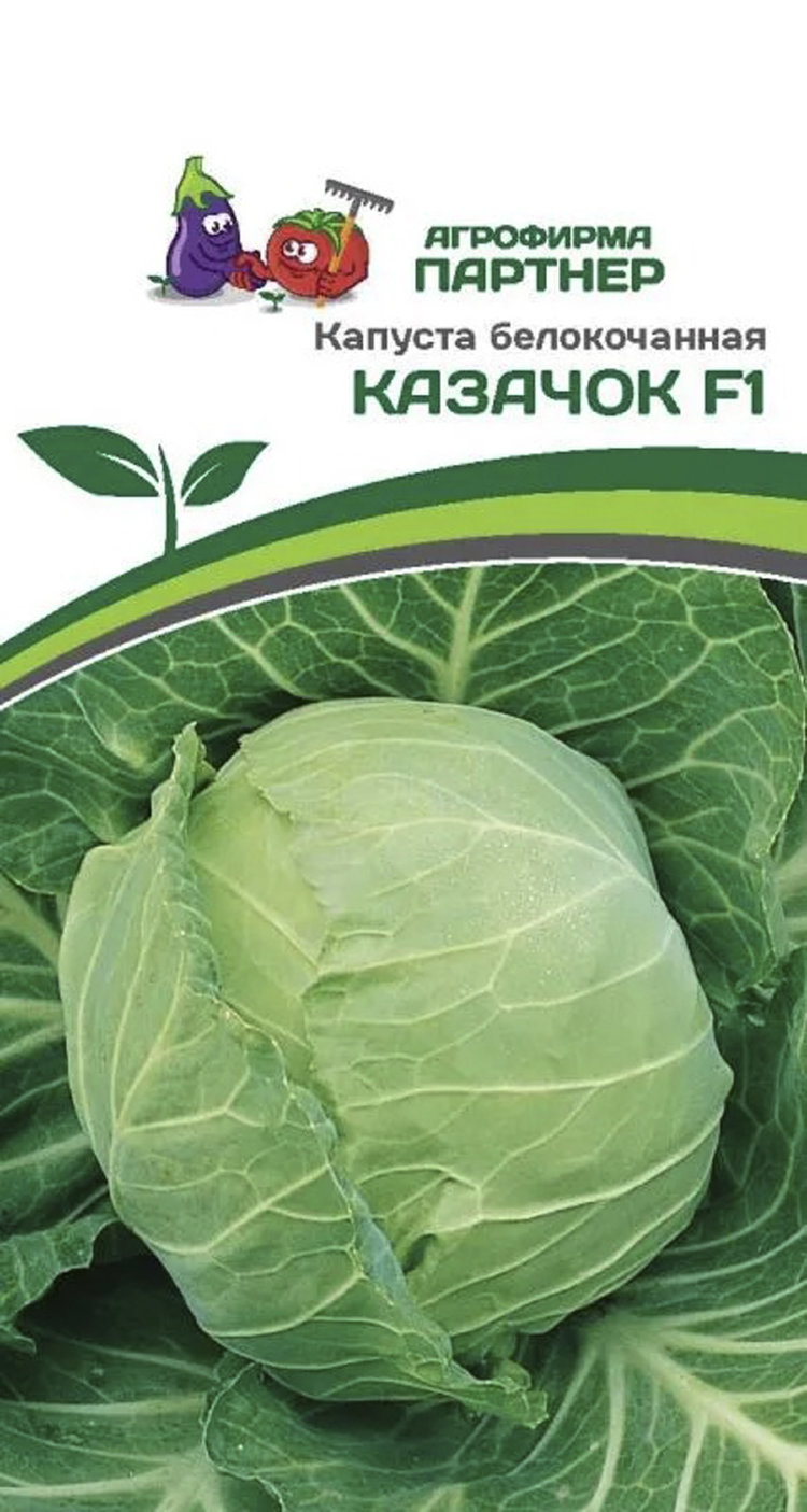 Капуста казачок фото Купить капуста б/к казачок f1, 0.3 г по цене 65 руб. в интернет магазине "Первые