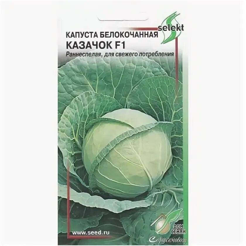 Капуста казачок фото "Капуста белокочанная Казачок F1, 60 семян" арт. 101510793297 купить в Твери нед