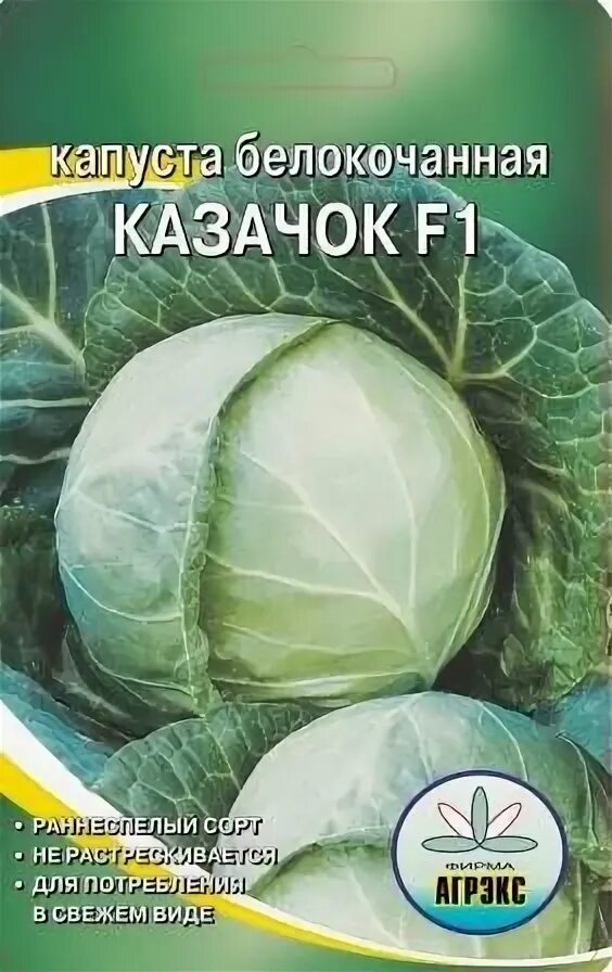 Капуста казачок фото Капуста Казачок купить в Екатеринбурге в интернет-магазине ДОМ
