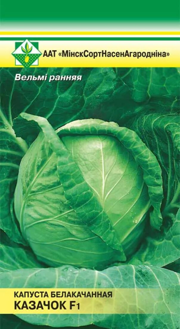 Капуста казачок описание сорта фото Капуста Казачок F1 б/к 0.1г (Германия) купить в интернет-магазине