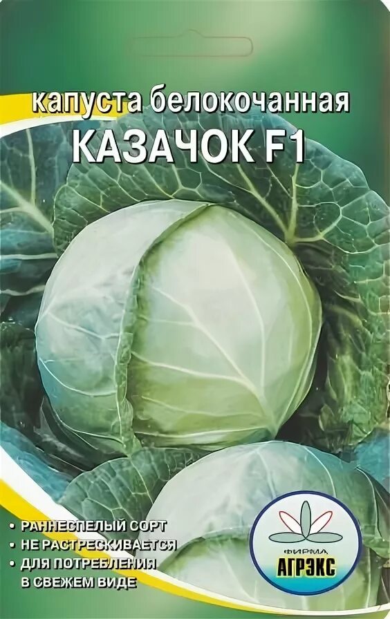 Капуста казачок описание сорта фото отзывы Казачок