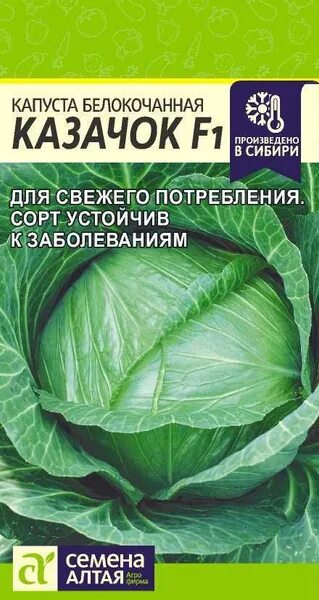 Капуста казачок описание сорта фото отзывы Капуста Семена Алтая Капуста - купить по выгодным ценам в интернет-магазине OZON