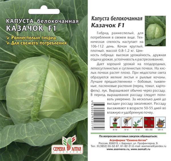 Капуста казачок описание сорта фото отзывы Капуста Казачок F1/Семена Алтая/цп 0,3 гр. кабачок, капуста, лук, морковь. Семен