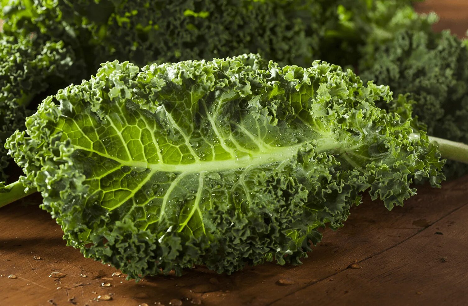 Капуста кейл фото полезные Kale - an ancient superfood - FreshMAG