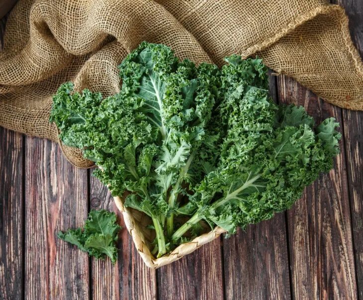 Капуста кейл фото полезные свойства Кейл Кудрявый - купить фермерские продукты с доставкой на дом от от Дэниела Лоур