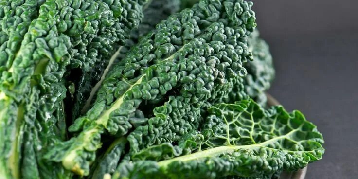 Капуста кейл фото полезные свойства Chou frisé, chou vert, chou plume ou encore chou kale, tous désigne ce même légu
