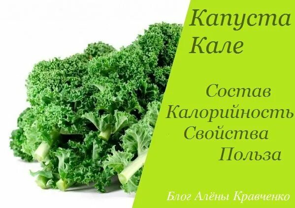 Капуста кейл фото полезные свойства рецепты приготовления Капуста Кале - что это такое? Полезные свойства, польза и вред, состав, калорийн