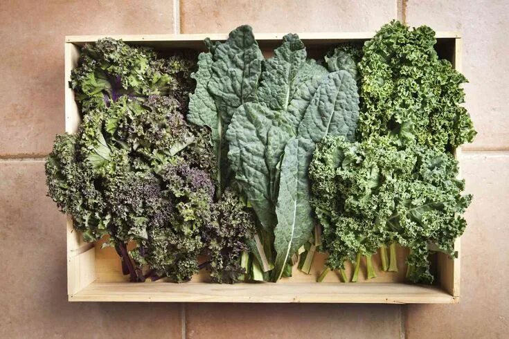 Капуста кейла фото 15 Anti-Inflammatory Foods You Should Be Eating Types of kale, Anti inflammatory