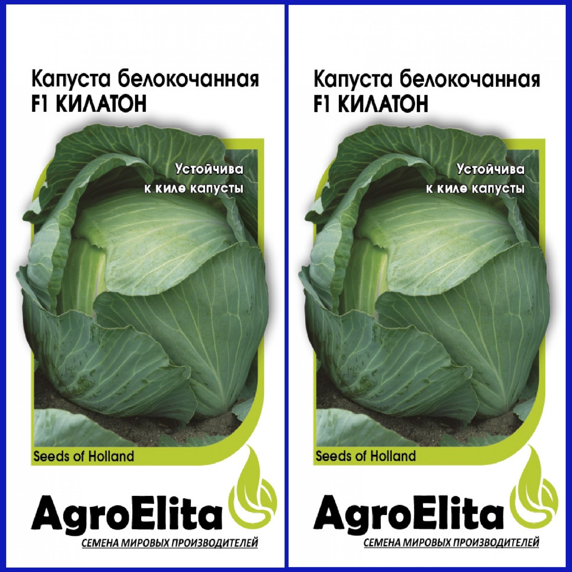 Капуста килатон описание сорта фото отзывы Капуста AgroElita Капуста_2_б/к КИЛАТОН F1 - купить по выгодным ценам в интернет