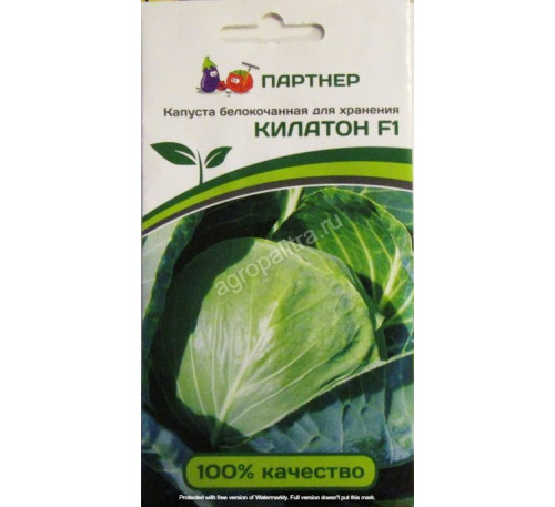 Капуста килатон описание сорта фото отзывы Капуста б/к Килатон F1, 10 шт, Партнер