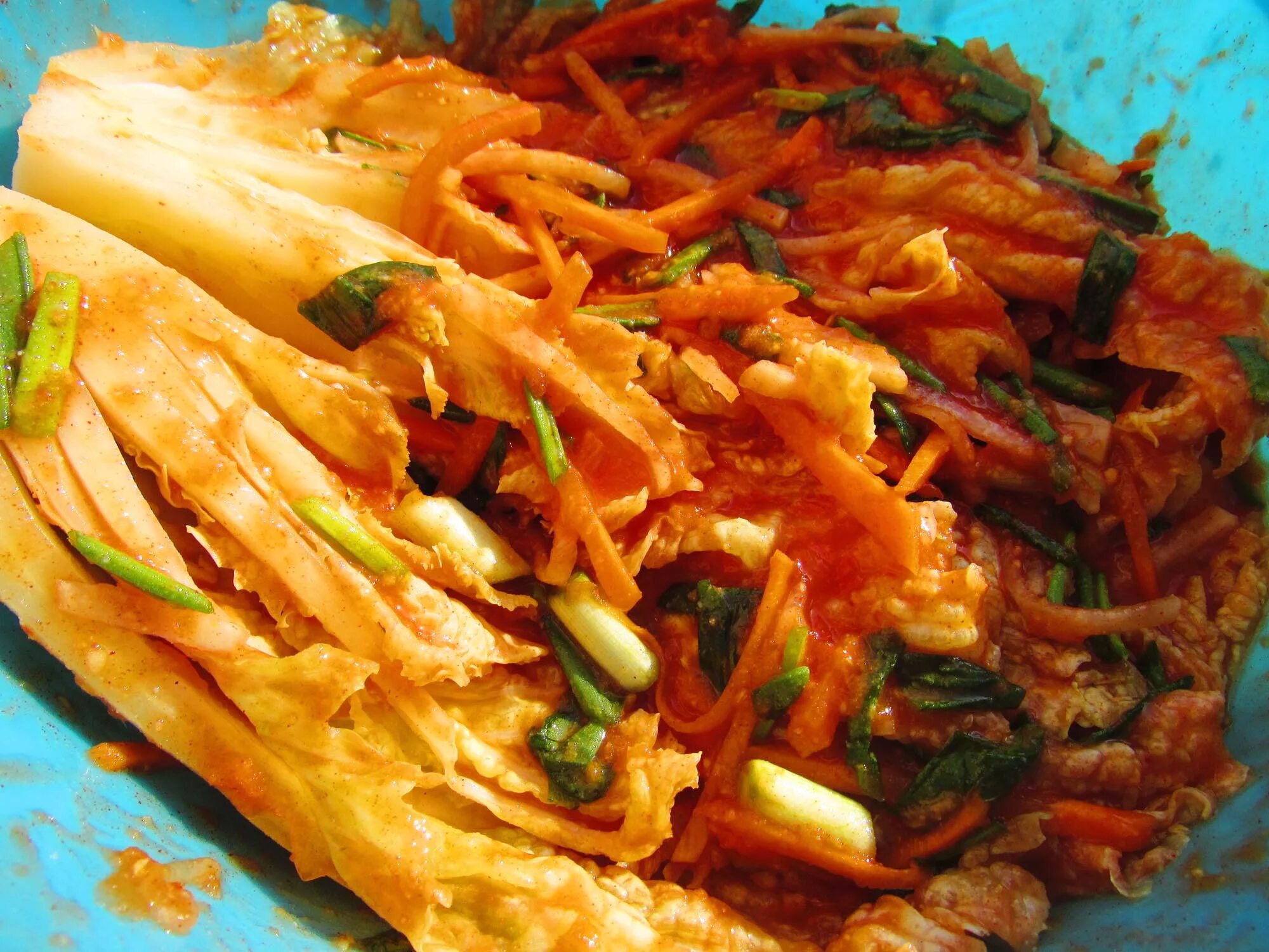 Капуста кимчи фото Капуста кимчи рецепт из белокочанной капусты eCookie.ru