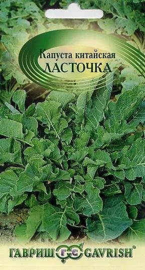 Капуста китайская ласточка фото Купить семена Капуста китайская Ласточка (г) 0,3гр с доставкой курьером и почтой