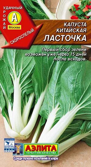 Капуста китайская ласточка фото Капуста китайская Ласточка 0,3г