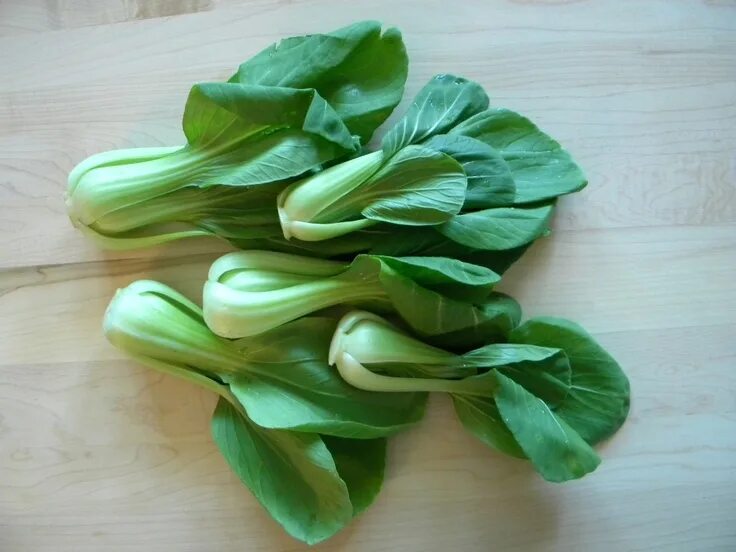 Капуста китайская листовая фото Pin on culinary pleasures