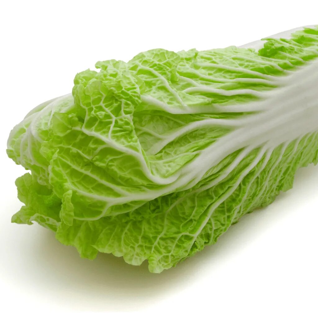 Капуста китайская листовая фото Фото Brassica Pekinensis: Пекинская капуста в деталях Натуралист Фотогалерея при